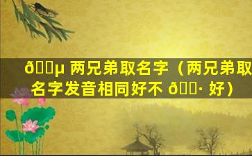 🐵 两兄弟取名字（两兄弟取名字发音相同好不 🕷 好）